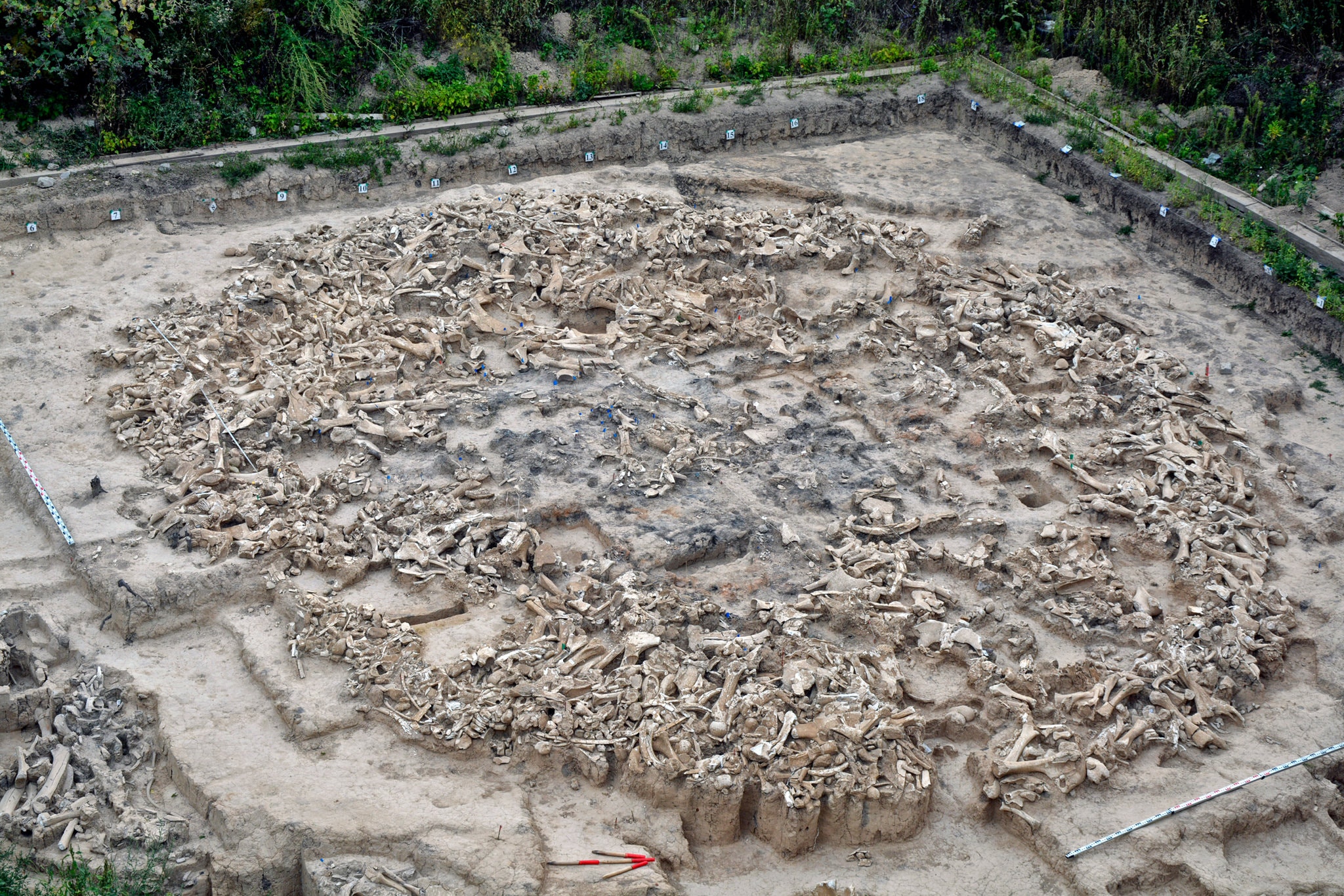 Зачем древние люди построили круг из костей мамонта