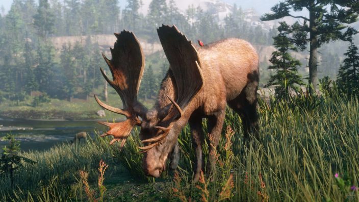 Компьютерные игры помогают геймерам узнавать животных